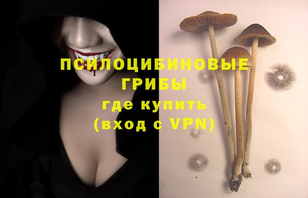 гашиш Шали